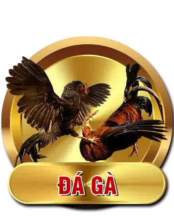 SHBET - Trang Chính Thức SHBET.COM | Casino Uy Tín #2026 7 cock